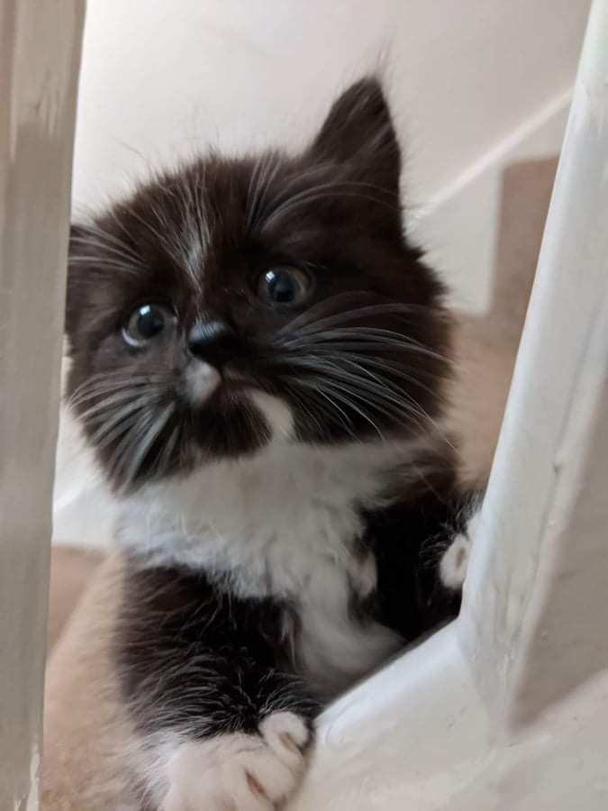 ReSPECT - Herefordshire and Worcestershire tweet media