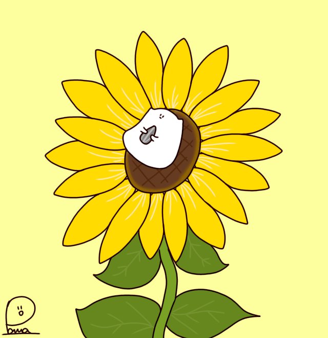 تويتر パルア おもち猫のもちね على تويتر ひまわりの日 日向ぼっこしまして もちね おもち猫 イラスト オリジナル イラスト オリジナルキャラクター ゆるいイラスト ひまわりの日 ひまわり シュール 癒し 可愛い 可愛いと思ったらいいね 日常