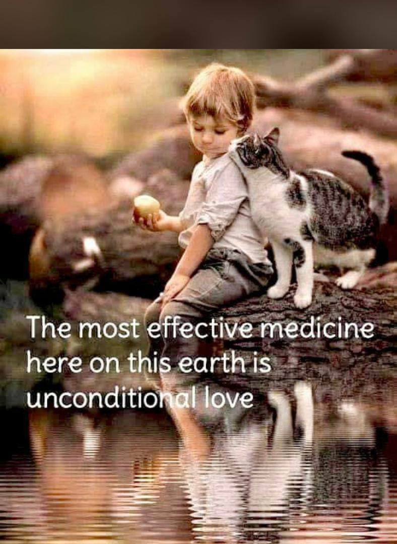 MgtQuality's tweet photo. #WisdomWednesday: "We live in a world in which we need to share responsibility. Its easy to say, " Its not my child, not my community, not my world, not my problem " Then there are those who see the need and respond. I consider those people my heroes." ~Fred Rogers
#QMSLUg https://t.co/v4zjHBwsFa