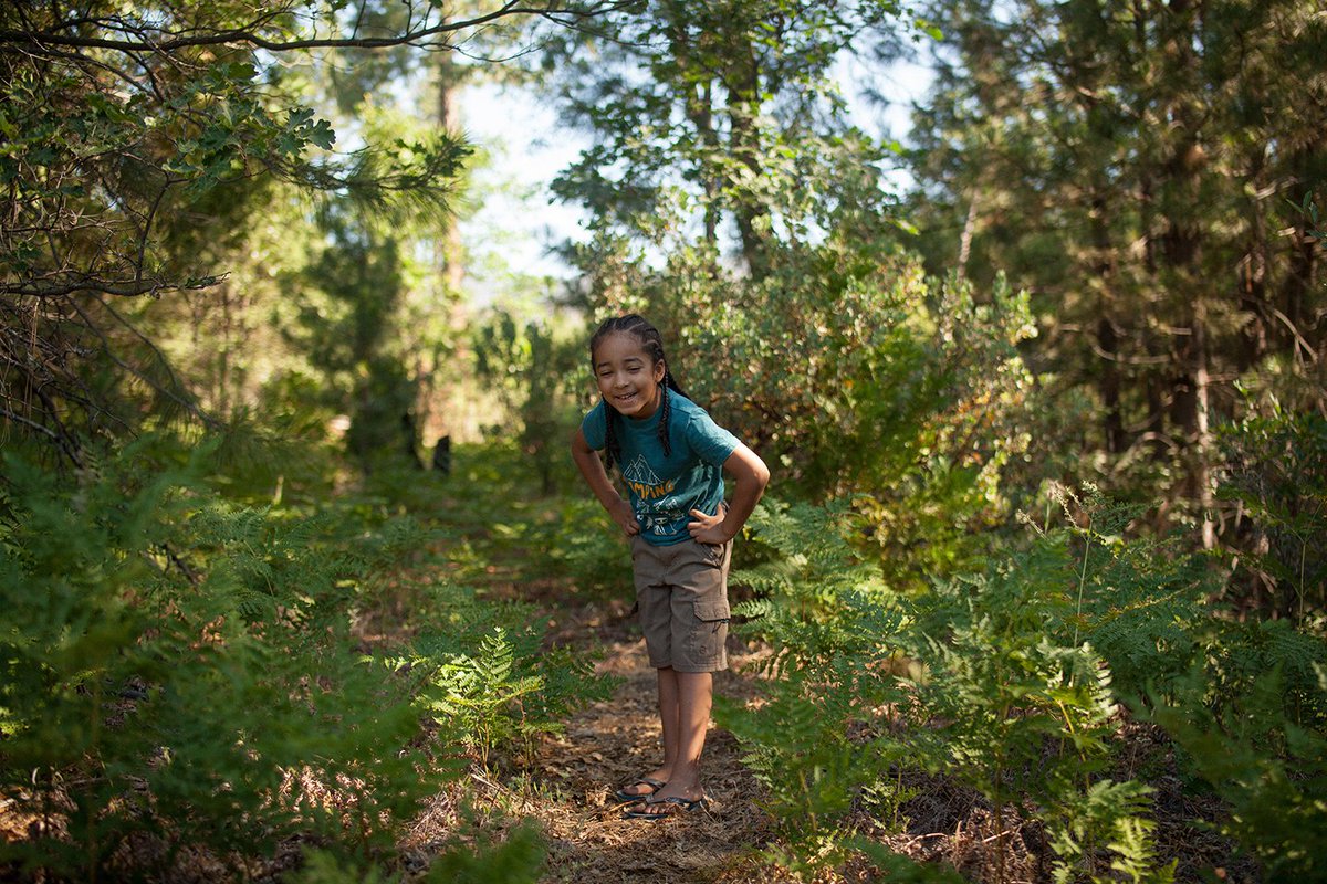 ncforestservice's tweet photo. We have resources to help you and your family get connected to nature through meaningful outdoor experiences with our Conservation Education programs and activities.
@NFsNCarolina: https://t.co/lLI7V0bEd1
N.C. Forest Service: https://t.co/n3yJaztOeX
#NationalForestWeek https://t.co/bgh5vJxMGB