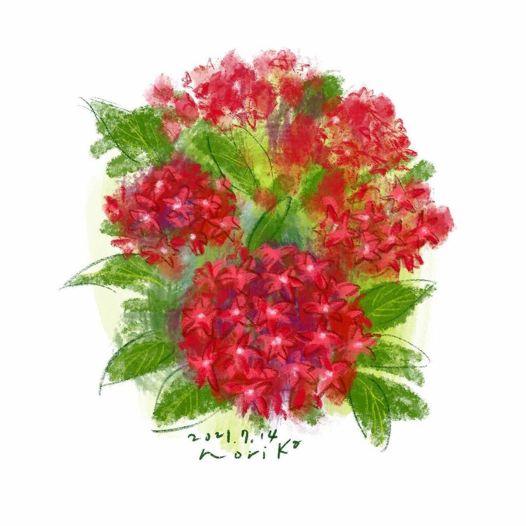 Pentas Twitter Search Twitter