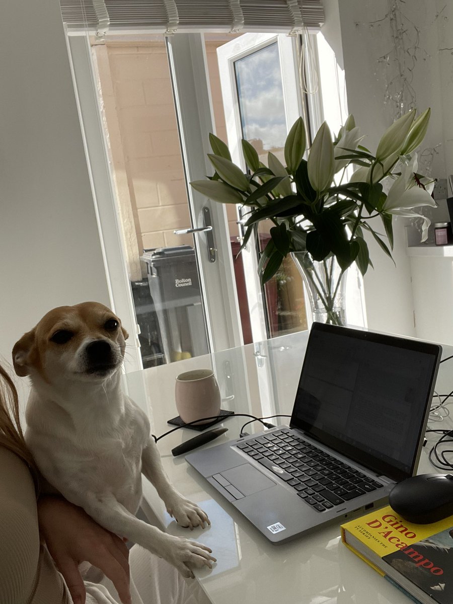 We have a very keen new member of the Manchester WTED team today!