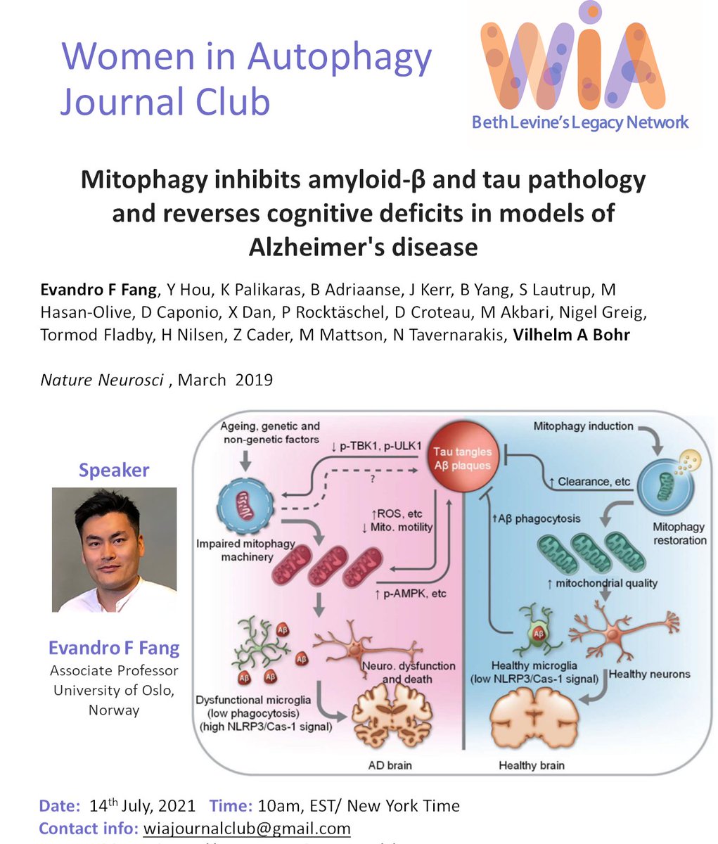 Don't miss it...today is our great Journal club about "Mitophagy inhibits amyloid-β and tau pathology and reverses cognitive deficits in models of Alzheimer's disease" #MitoLovers #AutophagyLovers #Alzheimer <a href="/mitowomen/">Women in Mitochondria</a> <a href="/MitophagyN/">MitophagyNews</a> <a href="/mito911_/">mito911</a>
