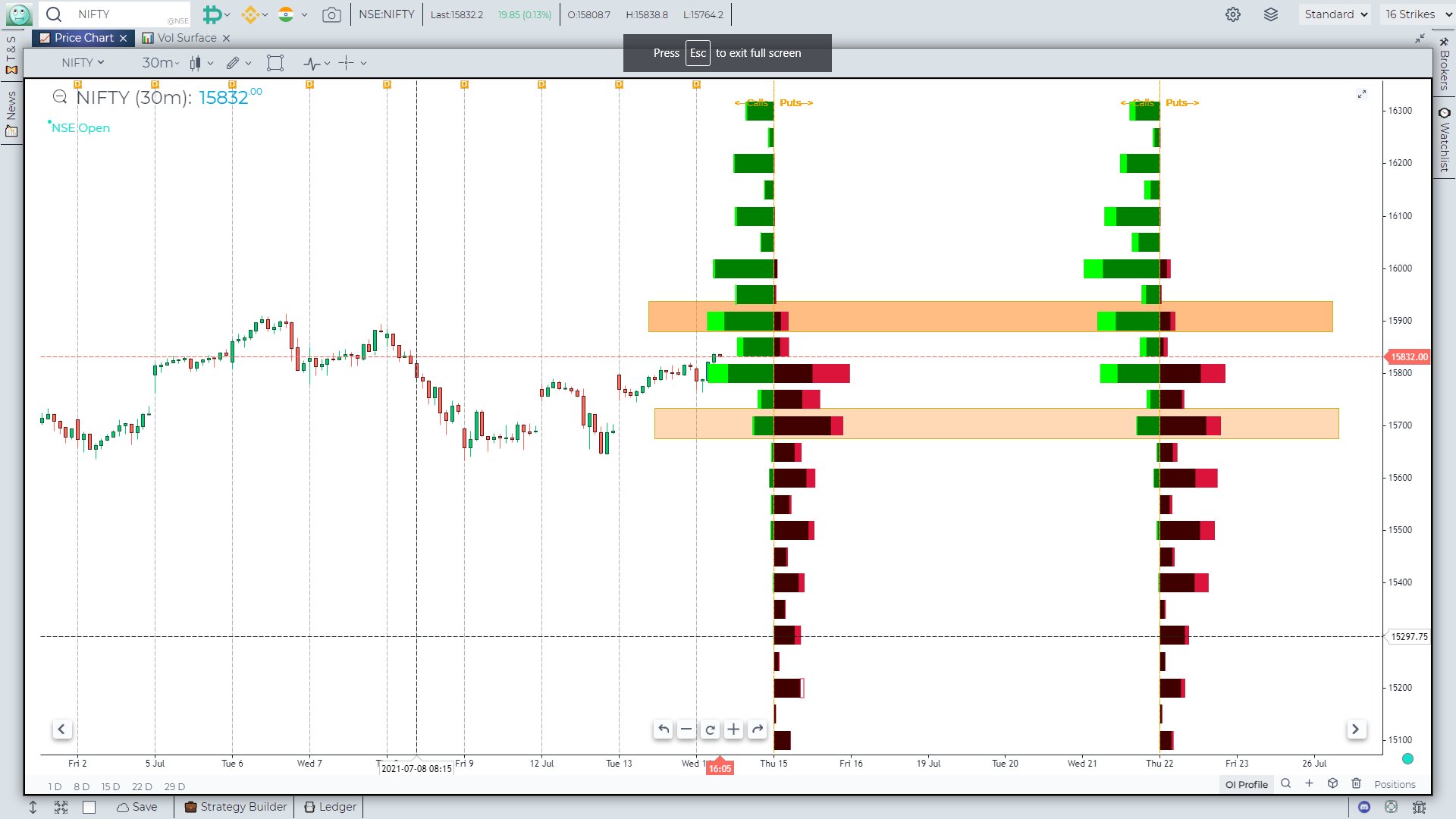 OPTIONS OPEN INTEREST & VOLUME PROFILE GoCharting