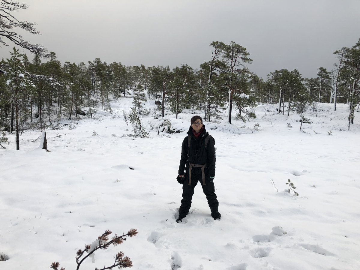 phychua's tweet image. Naturally, this involved poop hunting in the beautiful Nordic wilderness, where I was sometimes joined by @ampelinus (snowstorm included). Happy to say that I survived fieldwork without being attacked, something that not even Sir David Attenborough can attest to #bbcscience 2/7