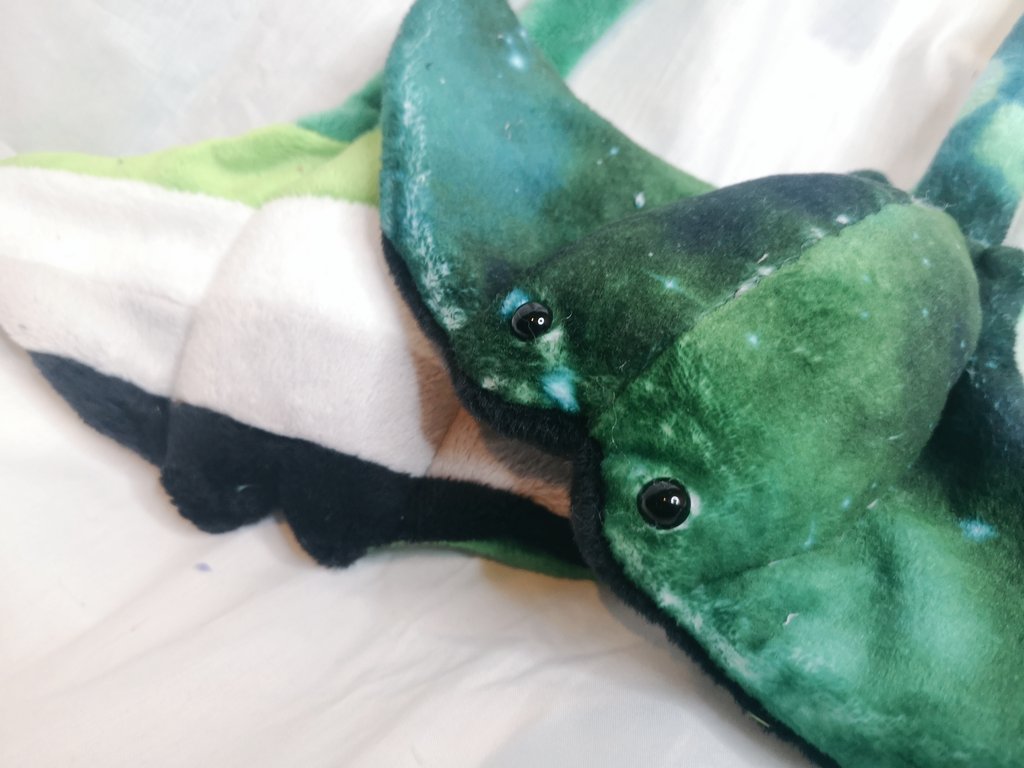 🏳️‍🌈 Giveaway! 🏳️‍🌈

I am so grateful for 500 followers so I decided to let a Manta of your choice move in with you!

To enter, please:
• Follow me
• Like and retweet this tweet
• And tag a friend in the replies! 

Giveaway ends July 20th. 

✨ Good luck and thank you!  ✨