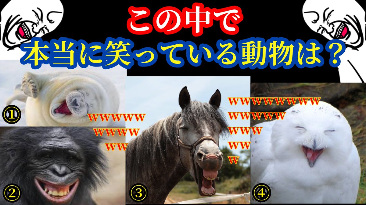 くすぐり Youtube Com Or Ustream Tv Or Vine Co Or Dailymotion Com Lang Ja Twitter Search