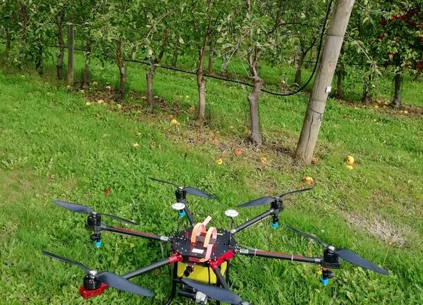 ReussirFL's tweet photo. Arboriculture : la pulvérisation par drone en test https://t.co/cUFPWl90cJ https://t.co/Qc3POenHPb
