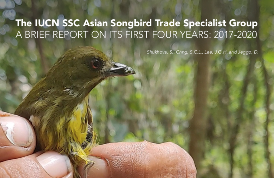 IUCN_Songbirds tweet media