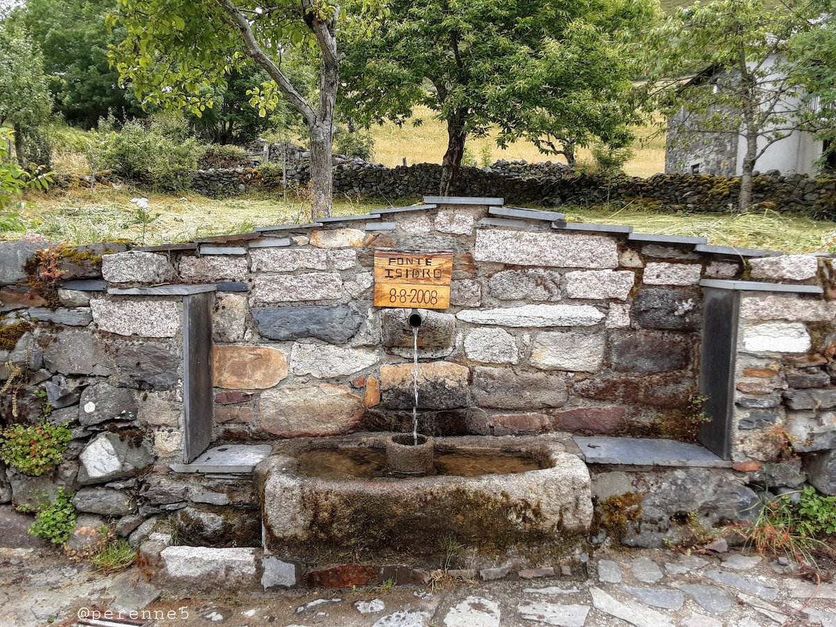 Perenne5's tweet photo. Los #Buenosdias de hoy, con Balouta, Sierra de Ancares #AncaresLeoneses #Bierzo #leonesp enclave natural de enorme belleza paisajística. A sus espaldas, El Miravalles (1969 m) Pallozas, hórreos, fuentes, sosiego y tranquilidad.
#FelizMiercoles #14Julio https://t.co/o3u73oiKCw