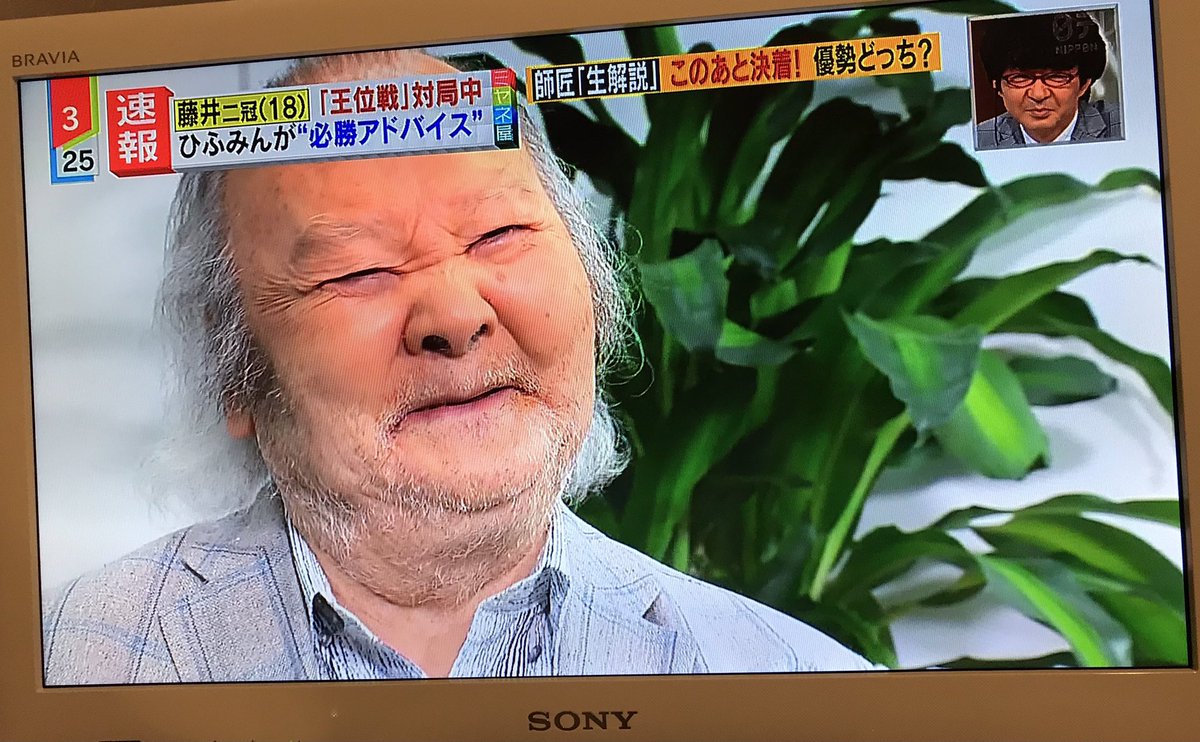 ミヤネ屋で ひふみん が話題に トレンドアットtv ミヤネ屋で ひふみん が話題に トレンドアットtv