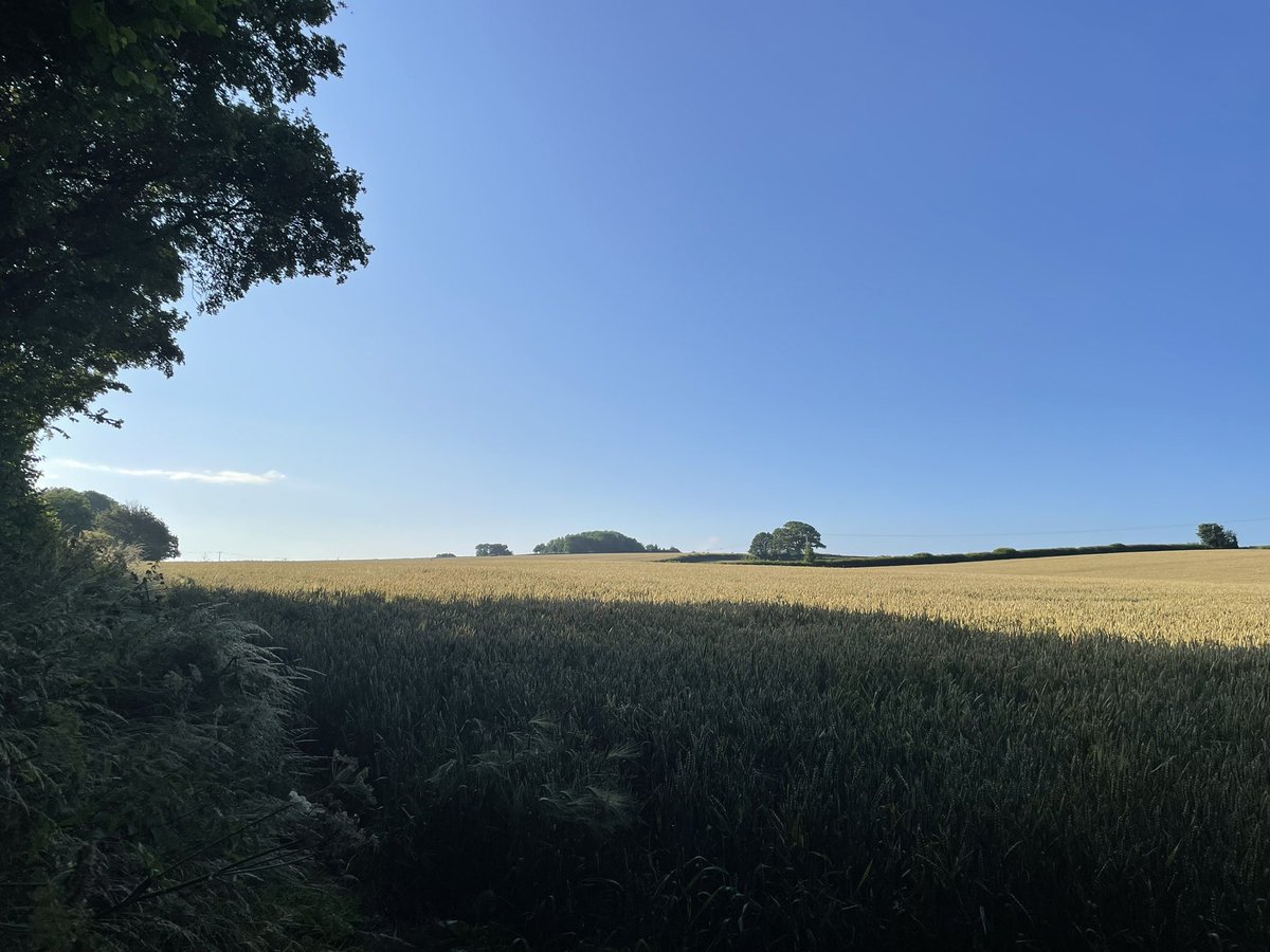 gingerfig's tweet photo. Morning! #currentviews #earlywalkies 😃 https://t.co/xxiiaoSGls