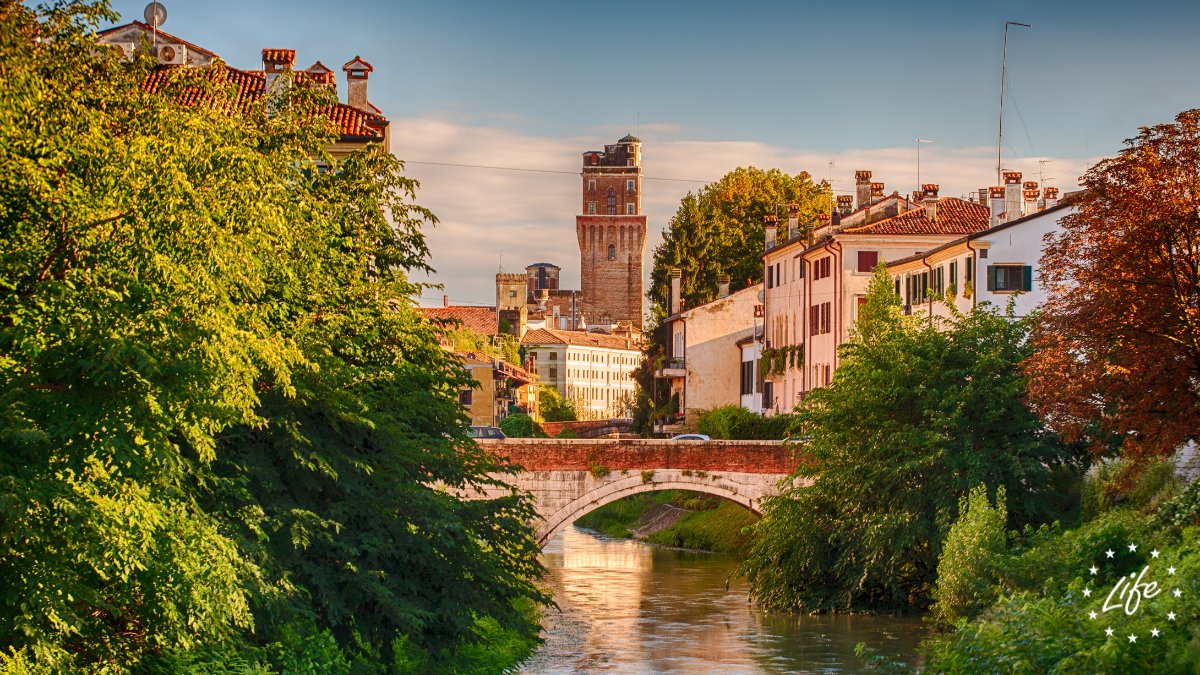 venetoadapt tweet picture