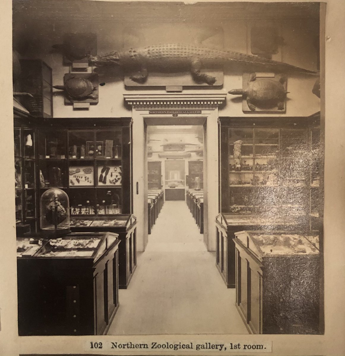 Francesca Hillier tweet media