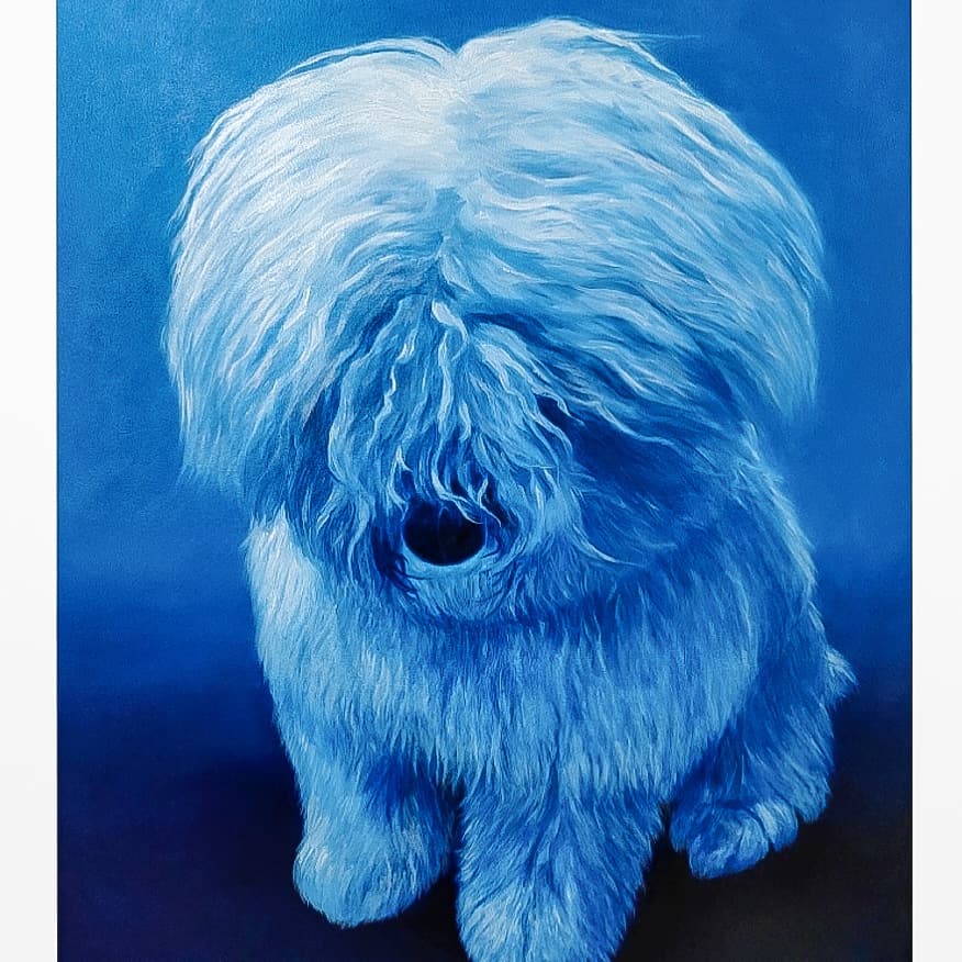 #MarkZuckerberg Best Dog #Beast
#oilpainting
Price $ _ _, 000