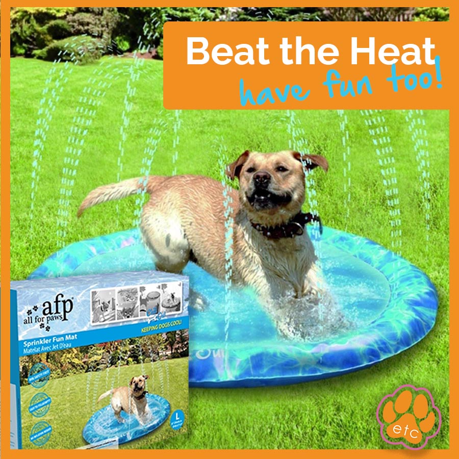 The afp Sprinkler Fun Mat is the paw-fect playful cooling solution and alternative to a pool,  for keeping your dog entertained while helping them to beat the heat! 
💦Available now 💦
 ow.ly/g96F50Fu7e5 

#Petceteraetc #PetCoolingSolutions #PetOwners #DogCooling #DogMat