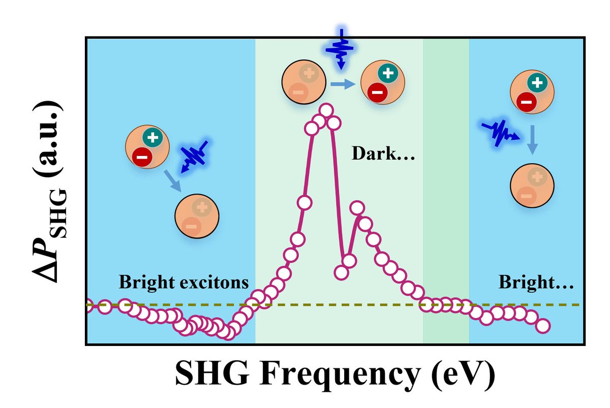 Excited to share our newly-published paper: Giant All-Optical Modulation of Second-Harmonic Generation Mediated by Dark Excitons pubs.acs.org/doi/10.1021/ac… 
Thanks all for the strong support. 
<a href="/ZhipeiSun/">Zhipei sun</a> <a href="/garciadeabajo/">Javier García de Abajo</a> <a href="/flagshipprein/">PREIN Photonics Research and Innovation</a> <a href="/PhotonicsFin/">Photonics Finland</a>   <a href="/ACSPhotonics/">ACS Photonics</a>