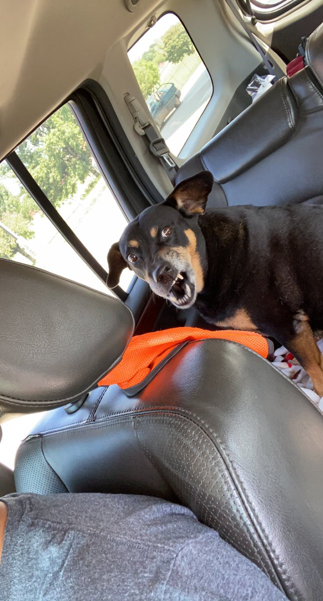 Stormcloud tweet media