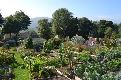 LGSpace's tweet image. Dear councils, please create more allotments! 90,000 people are on UK waiting lists - some likely to wait 40 years. That's huge potential benefits for health, wellbeing, communities, wildlife, biodiversity, and for producing healthy fresh food without packaging or food miles! 🐝