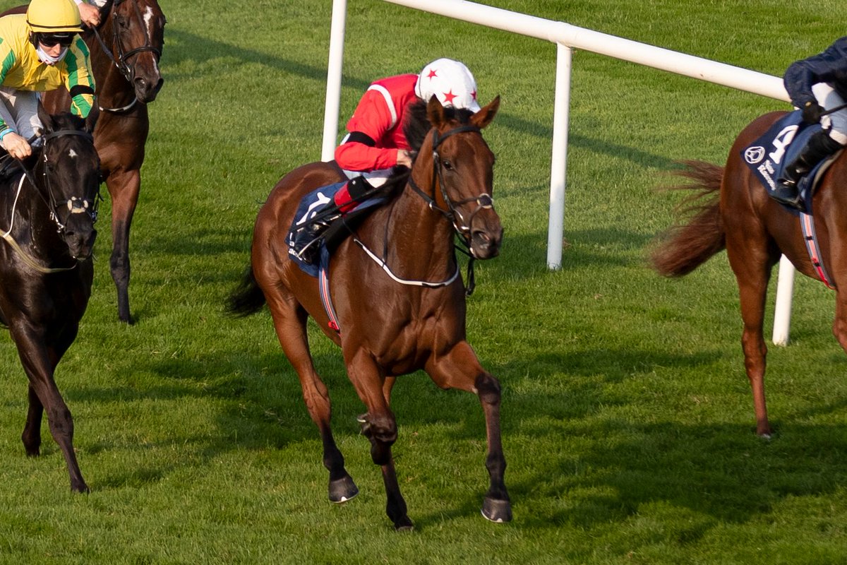 HRIRacing's tweet photo. #TodaysTips - https://t.co/paPc4Mj7sE

🏇@KillarneyRaces
 
⏰First Race 4.25pm
 
The Listed @IrishEBF_ Cairn Rouge Stakes tops the bill at #Killarney early this evening.  

Our preview is here ↙️

https://t.co/paPc4Mj7sE #SenseOfStyle https://t.co/GuaGDeLBp5