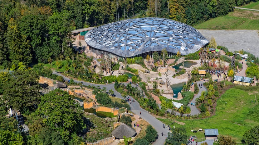 Ob beim Brunch im Kaeng Krachan Elefantenpark, beim Apéro bei den Löwen oder einem Bankett im Restaurant Masaola. Entdecken Sie den Zoo Zürich als Eventlocation und Rahmenprogramm für Ihre Veranstaltung.
#eventlocation #zoozürich #rahmenprogramm
seminarpauschale.ch/blog/deu/event…