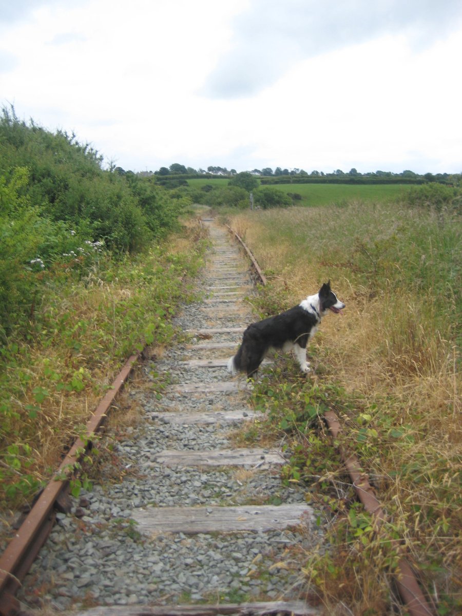 Mark Perks tweet media