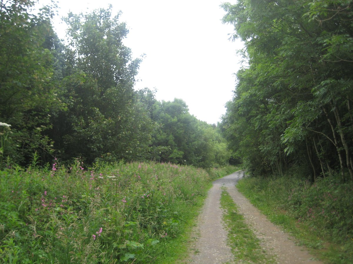 Mark Perks tweet media