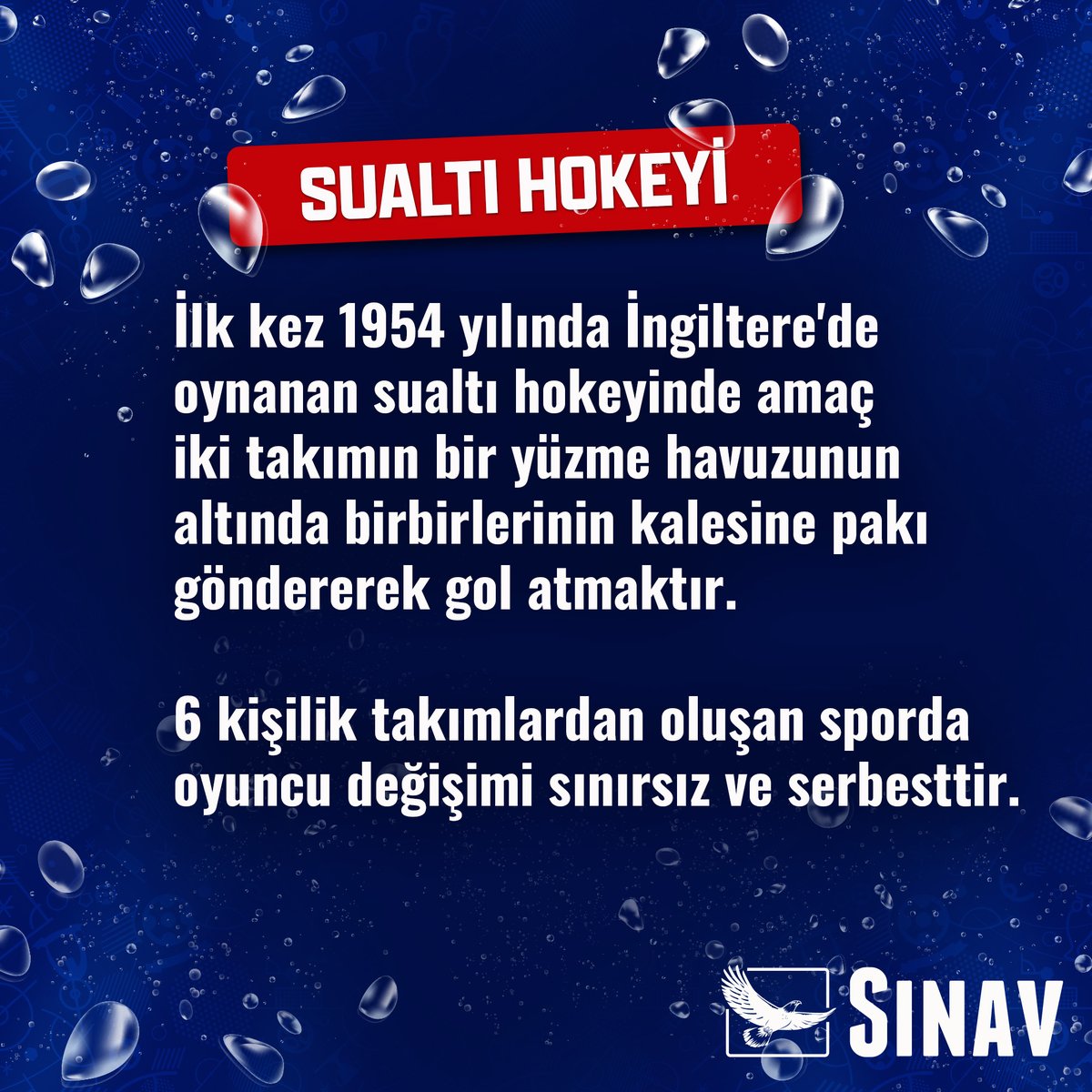 dbsinavkoleji's tweet photo. Kışın dalgıçların antrenman yapması için tasarlanan oyun, bugün dünyanın en popüler spor faaliyetlerinden biri olmuştur.🌊

#sınaveğitimkurumları #DiyarbakırSınavKoleji #ÖzelOkul #Kolej #Sınav #SuAltıHokeyi #Spor https://t.co/TpLzdkpgR6
