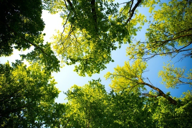RecoveryCompass's tweet photo. What a beautiful day for Pilates in the Park! Fully booked for today, but a couple spots left for the coming weeks: gentle stretching to keep us feeling well, free in Prospect Park #mindandbody #rdguk #mentalhealth
@OxfordRoadTimeb @MHMReading  @rva_news @Connect_Charity https://t.co/NcYK5k9nYK