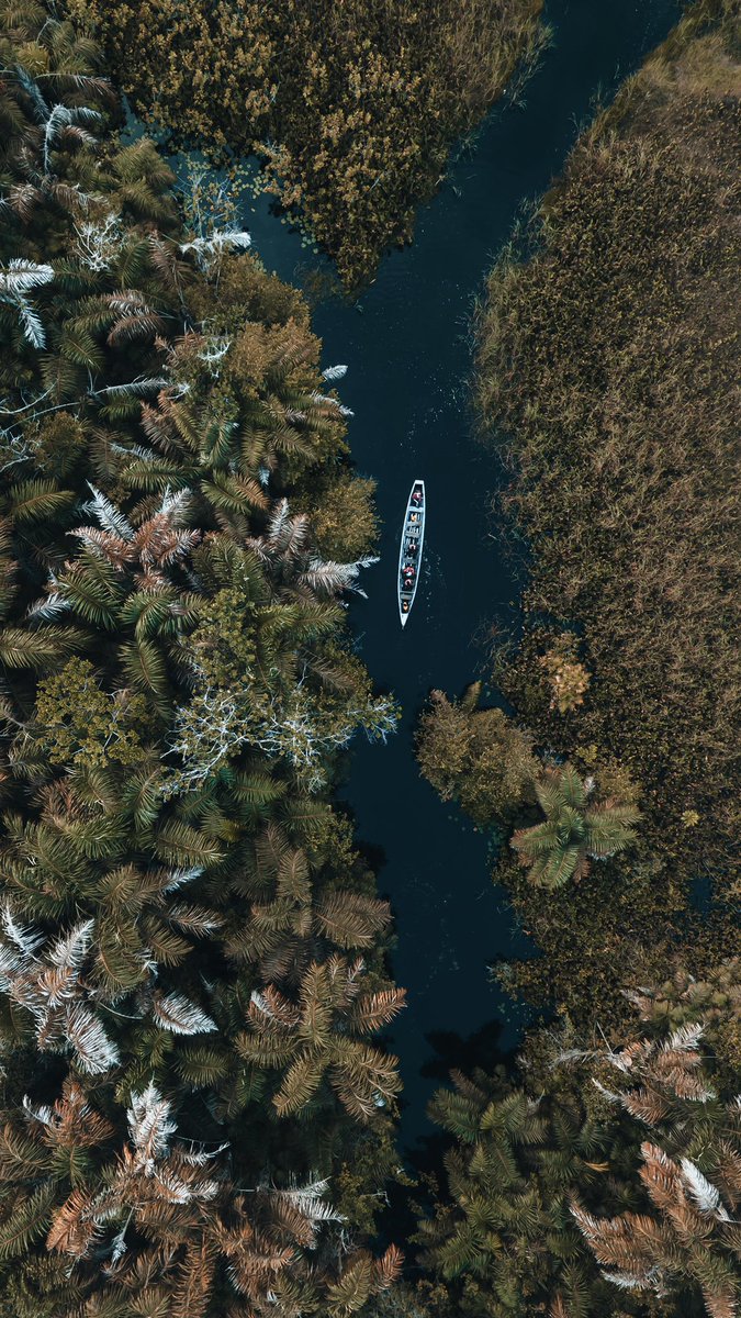 Viaopeimu's tweet image. Ever heard about the village built on a river? I was thrilled by what I saw in Nzulenzu,western region-Ghana🇬🇭. Photographed by me