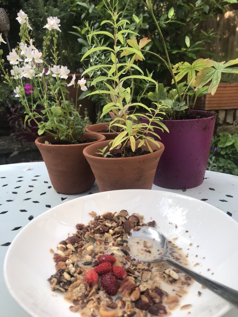 Sudifoodie tweet media