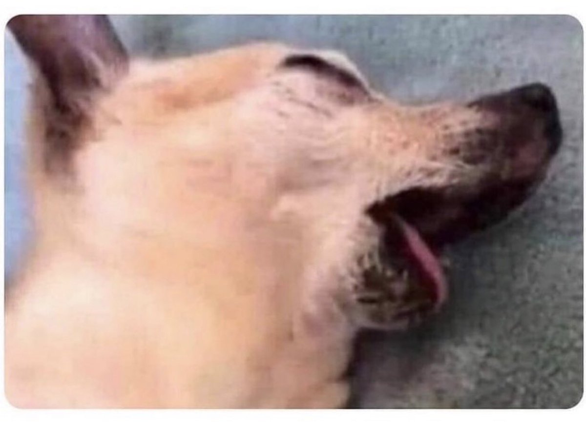 annaxcalum's tweet photo. me EVERY TIME when 5sos is active.
(Me every time i say I’ll be active but no..🥺👉🏼👈🏼) https://t.co/p2O7MgTx1h
