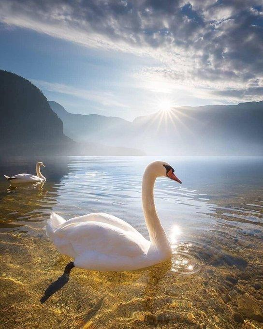 devadata7's tweet image. 