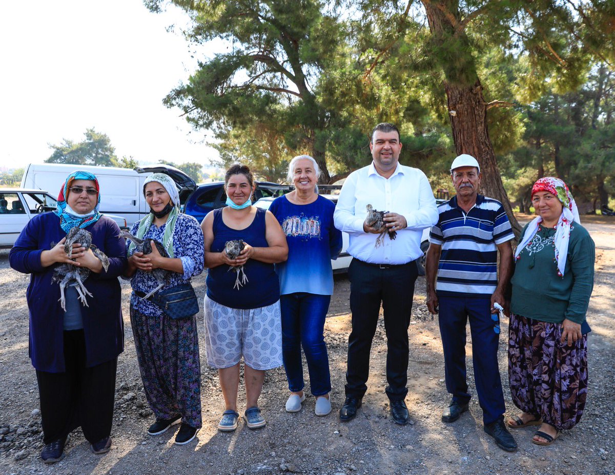 Hindi belediyeden üretip kazanmak çiftçiden! Seferihisar Belediyesi olarak tüm köylerde üreticiye ücretsiz hindi dağıtımı gerçekleştiriyoruz. Daha az yem ve daha ucuz girdilerle yetiştirilen hindilere alım garantisi de bizden. Üreticimize hayırlı olsun. <a href="/shisarbel/">Seferihisar Belediyesi</a>