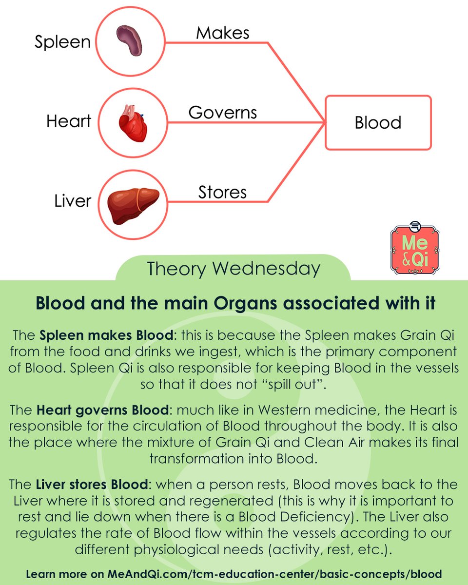 Theory Wednesday! Today we look at Blood and the main Organs associated with it: meandqi.com/tcm-education-…

#TCM #acupuncture #herbs #herbalism #naturalist #naturalbody #natural #naturelover