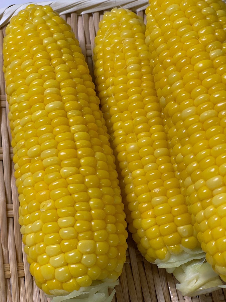 とうもろこし Twitter Search