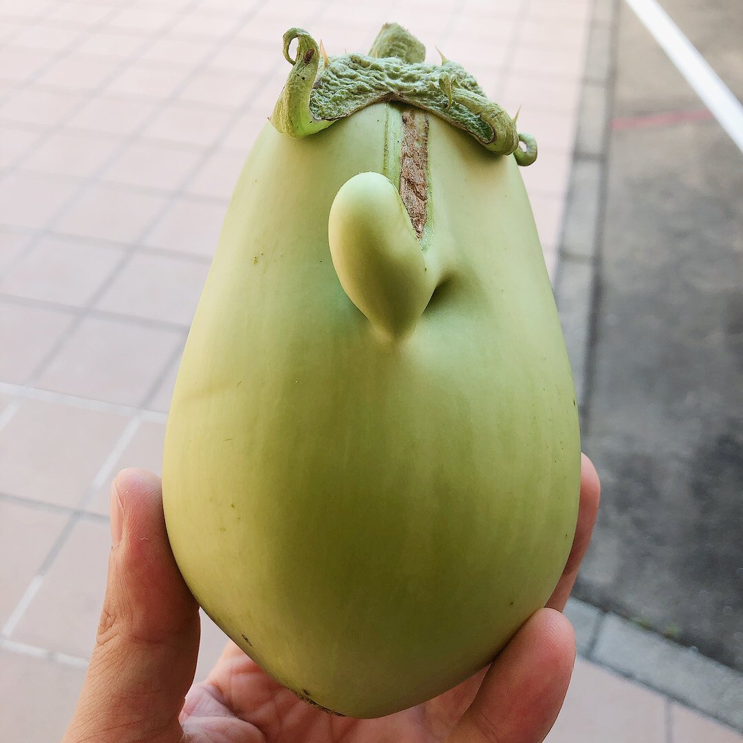 fculinary's tweet photo. 白ナスなんだけど、なんかムーミン😊
何に見える??
#fculinary #ムーミン #白ナス https://t.co/ye6G66wtkY