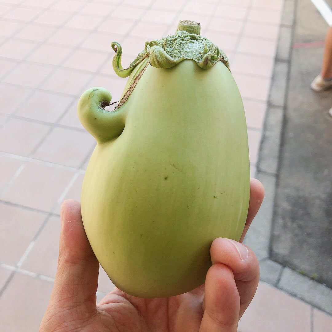 fculinary's tweet photo. 白ナスなんだけど、なんかムーミン😊
何に見える??
#fculinary #ムーミン #白ナス https://t.co/ye6G66wtkY