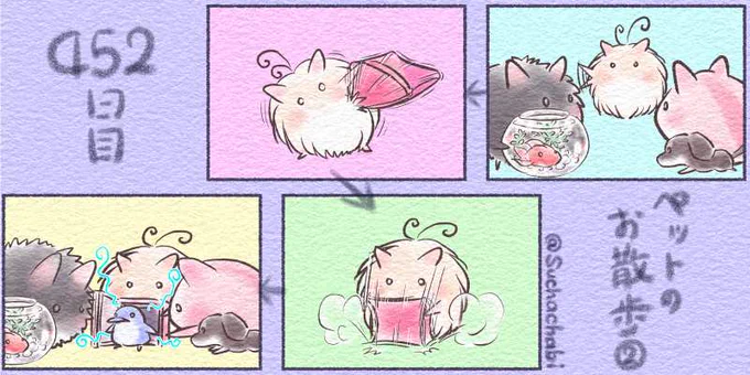 452日目 ペットのお散歩② 