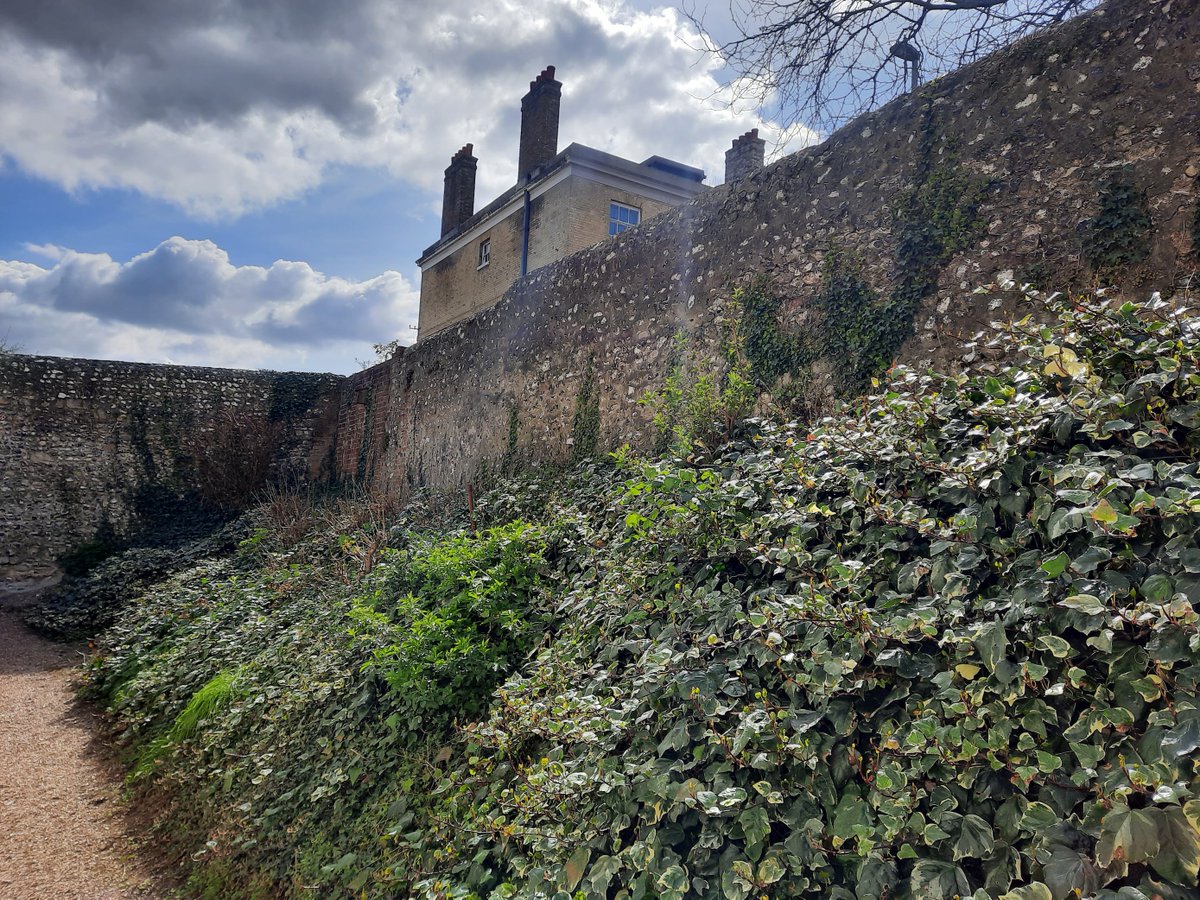 WFBA_engineers's tweet photo. Very often we design something new. But we also like preserving older property too. And right now we are working on a project to preserve a leaning flint wall in #Winchester that stands on the line of the Roman city defences #wfba #structuralengineering https://t.co/2kycfUxU7z