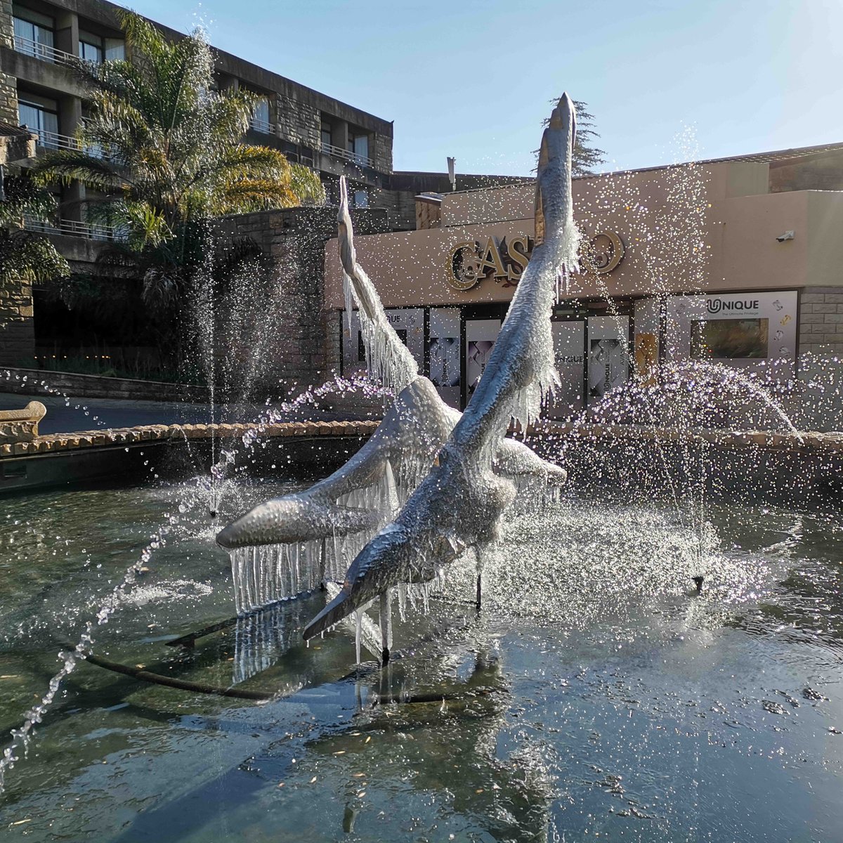 It`s an icy morning today at -8🥶 Keep warm 🤗