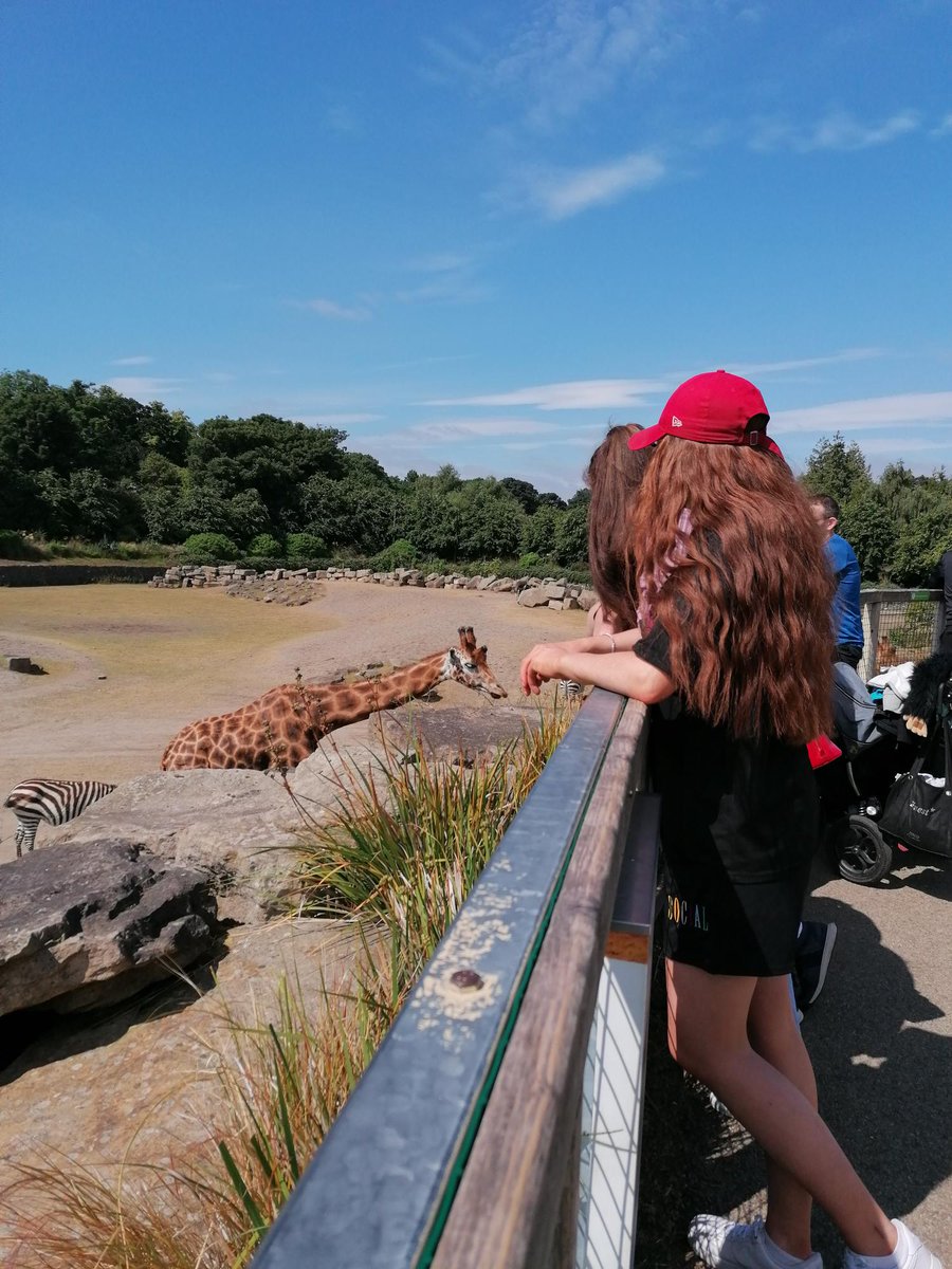 SSideTravellers's tweet photo. TASK learners trip to Dublin Zoo! https://t.co/KmomZz3gN3