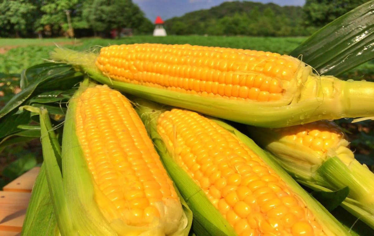 広島経済新聞 Hiroshimakeizai Twitter