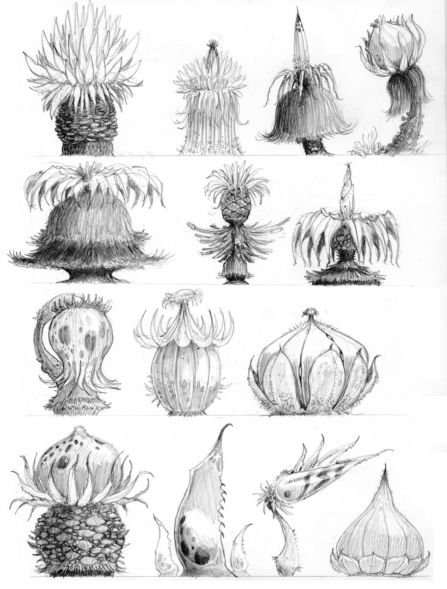 The enchanting sketches of Nicolas Weis. Check his exclusive Master Classes and Mentorships on IAMAG : https://t.co/RyXKCFagLy 