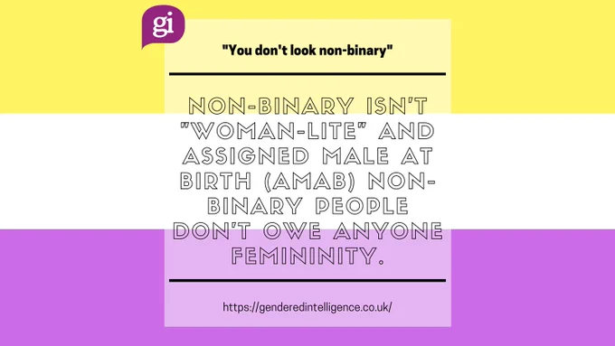 Image 4/4. Text reads: '"You don't look non-binary". Non-binary isn't "woman-lite" and assigned male at birth (AMAB) non-binary people don't owe anyone femininity.' Link below: https://genderedintelligence.co.uk