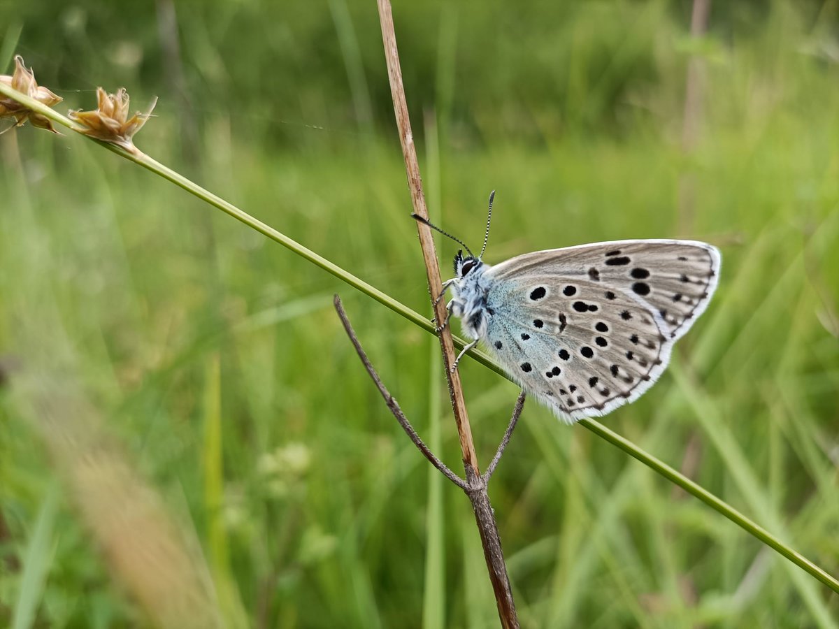 BIOSFERA Consultoría tweet media