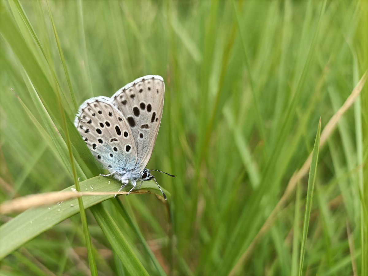 BIOSFERA Consultoría tweet media