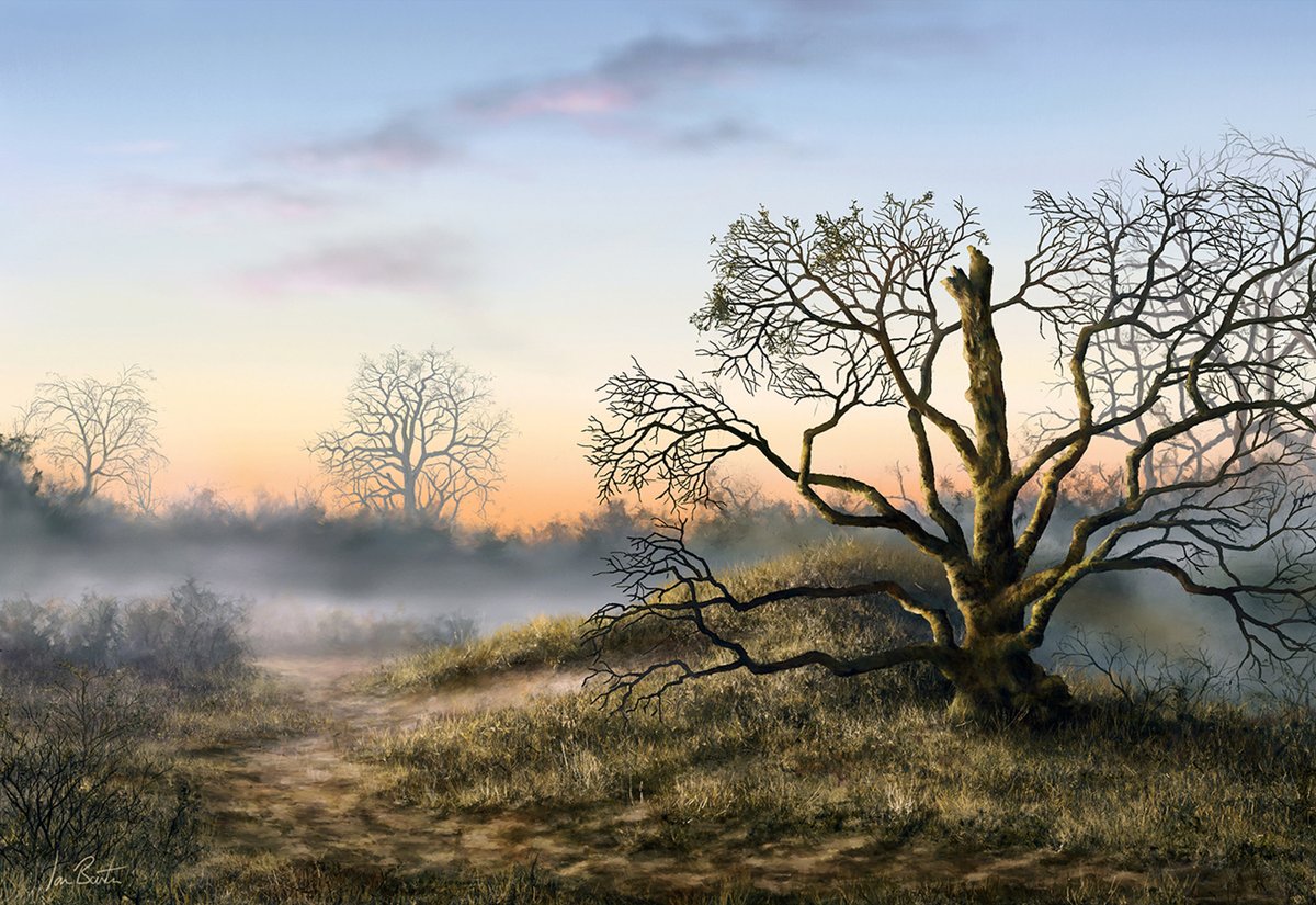 CreativeCloist's tweet photo. My friend IanBartonArt has finally opened a shop and is selling prints of his amazing artworks. Seriously check this guy out and lets get his etsy off to th fine start it deserves. https://t.co/xBE4JUHuL4 #etsy #gicleeprint #oaktree #winter #ianbartonart https://t.co/WZA4lM6VXB