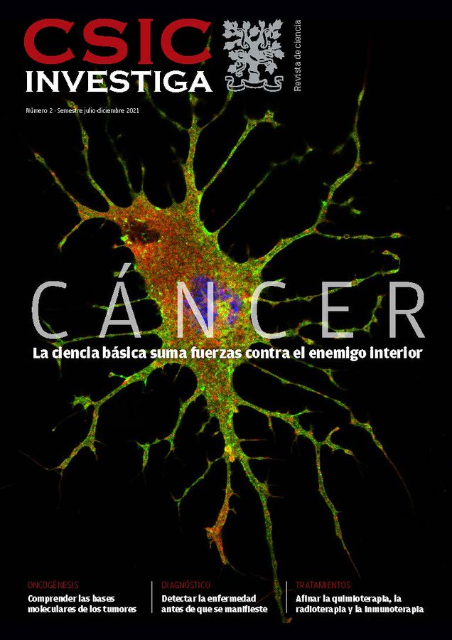 La covid-19 ha causado 4 millones de muertes.
El cáncer causó 9,6 millones de muertes solo en 2018. 
El CSIC busca las claves moleculares del #cáncer para obtener mejores diagnósticos y tratamientos.
Te lo contamos en 'CSIC INVESTIGA'.
Descárgala aquí ➡️ digital.csic.es/handle/10261/2…