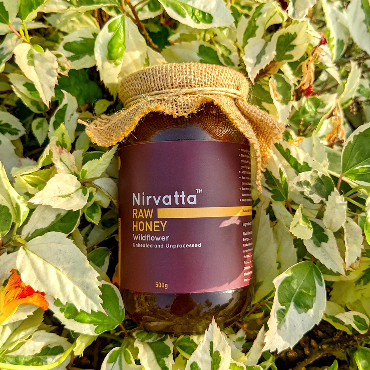 nirvatta's tweet photo. Raw honey is made from nectar which means “Amrit” in Hindi Language.
#rawhoney #indianhoney #nirvatta #wildflower #amrit #nectar https://t.co/qTFjNvHQ4R